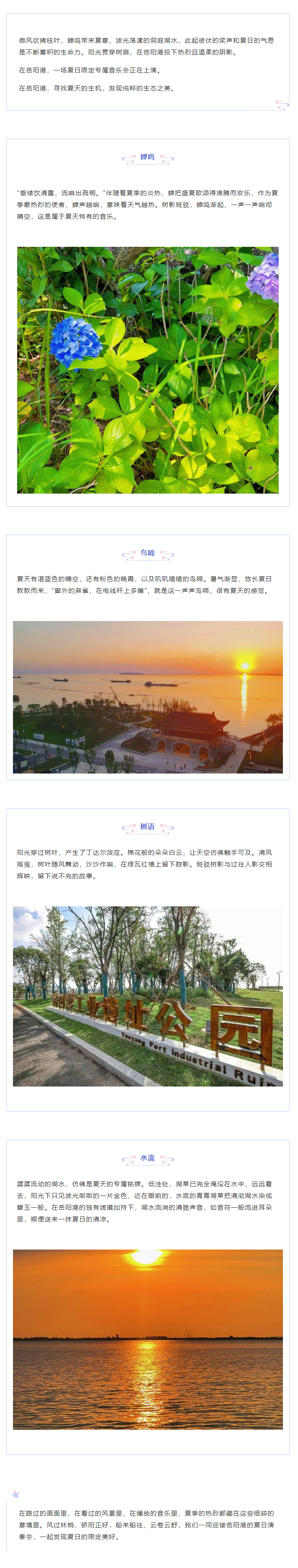 【夏日演奏會】在岳陽港，聆聽夏天的聲音.png